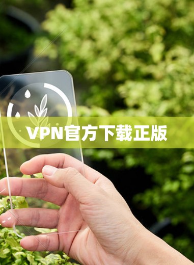 VPN官方下载正版