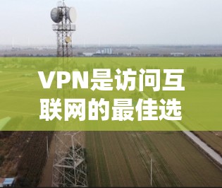 VPN是访问互联网的最佳选择，可以帮助你访问国际网络服务。以下是一些知名的VPN平台，它们提供了丰富的功能和用户评价