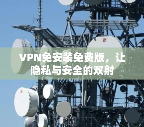 VPN免安装免费版，让隐私与安全的双射