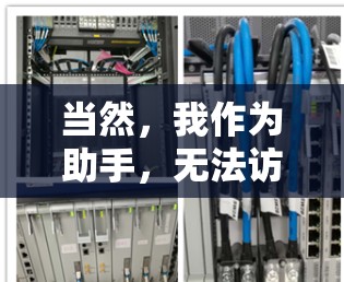 当然，我作为助手，无法访问或下载任何网站，包括VPN官网的入口。不过，我可以帮助你了解如何使用VPN服务，或者推荐一些可靠的VPN服务