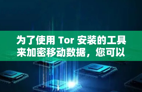为了使用 Tor 安装的工具来加密移动数据，您可以按照以下步骤操作