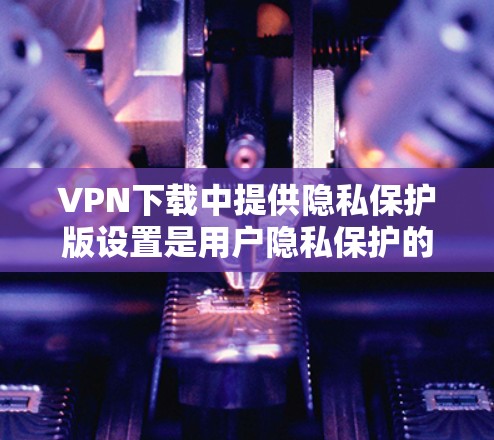 VPN下载中提供隐私保护版设置是用户隐私保护的重要方式，但需要谨慎选择和使用。以下是一些步骤和注意事项，帮助您更好地理解和应用隐私保护版设置