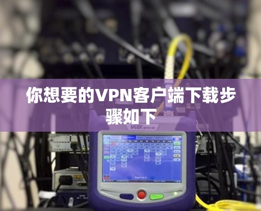 你想要的VPN客户端下载步骤如下