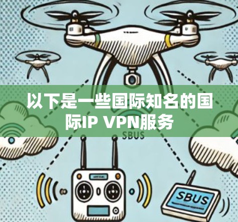 以下是一些国际知名的国际IP VPN服务