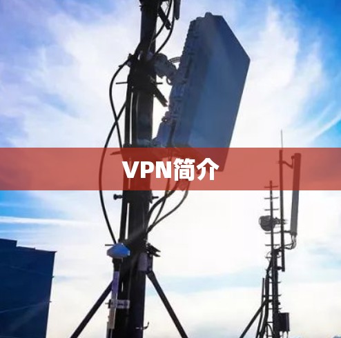 VPN简介
