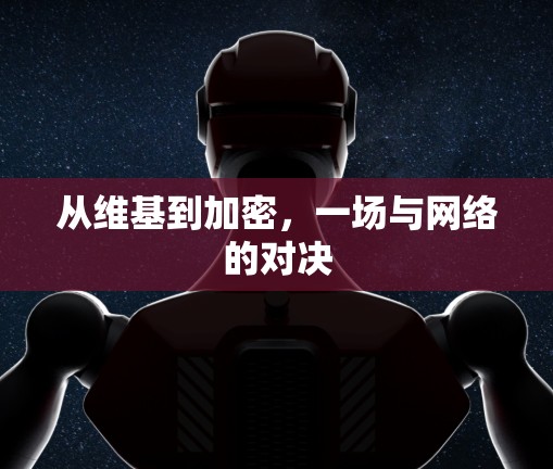 从维基到加密，一场与网络的对决