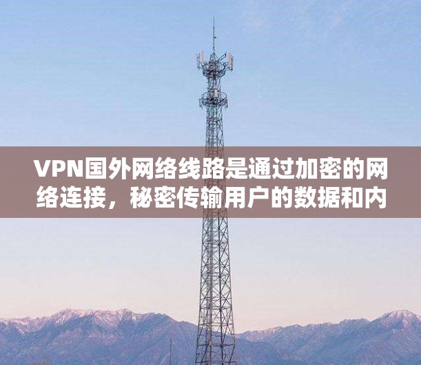 VPN国外网络线路是通过加密的网络连接，秘密传输用户的数据和内容，通常连接到国外服务器。这些线路提供了安全的访问方式，适用于国际上的上网、下载、视频、书籍等需求。以下是具体步骤和注意事项