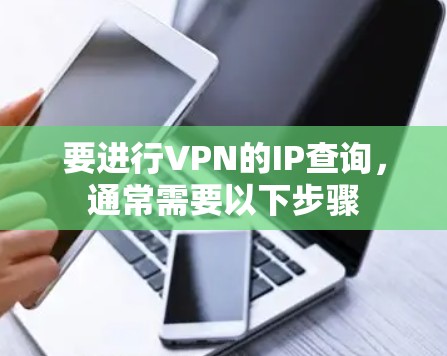 要进行VPN的IP查询，通常需要以下步骤
