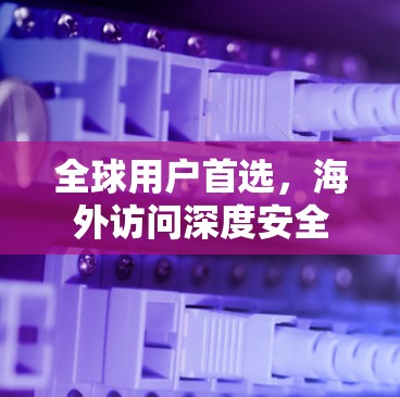 全球用户首选，海外访问深度安全