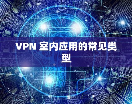 VPN 室内应用的常见类型