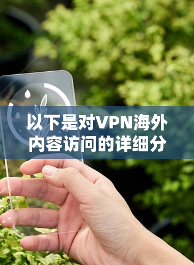 以下是对VPN海外内容访问的详细分析