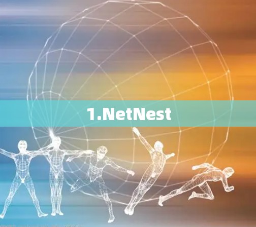 1.NetNest