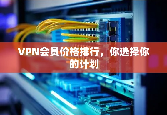 VPN会员价格排行，你选择你的计划