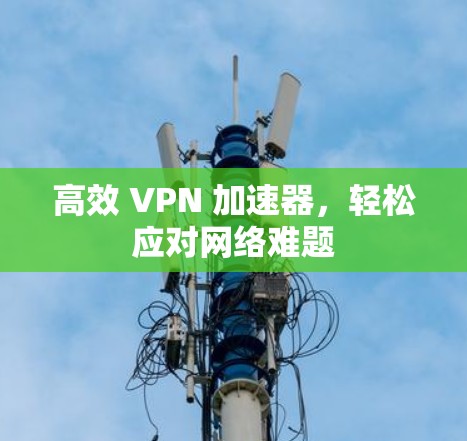 高效 VPN 加速器，轻松应对网络难题