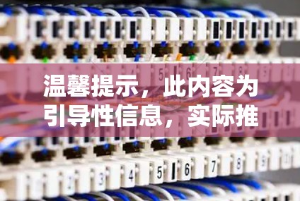 温馨提示，此内容为引导性信息，实际推荐需联系官方或专业供应商获取详细信息