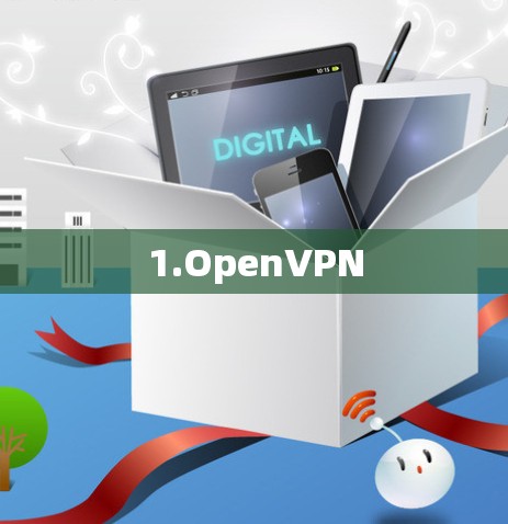 1.OpenVPN