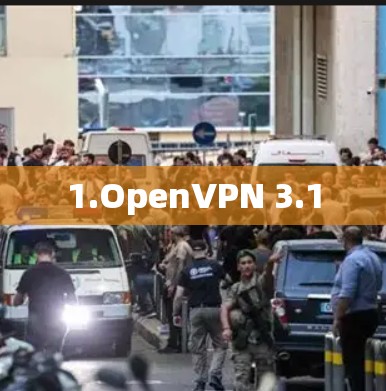 1.OpenVPN 3.1 1.OpenVPN 3.1