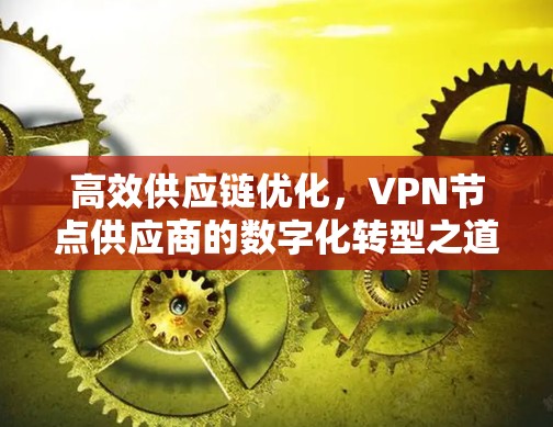 高效供应链优化，VPN节点供应商的数字化转型之道