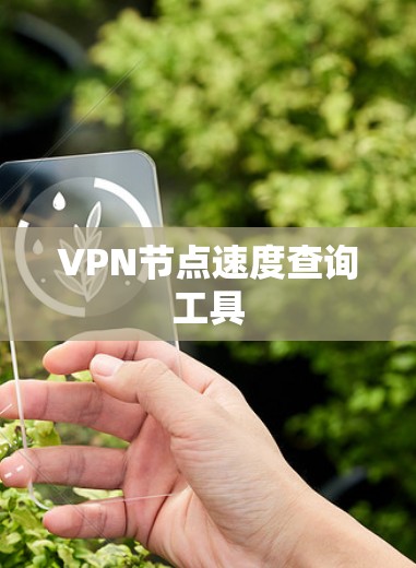 VPN节点速度查询工具