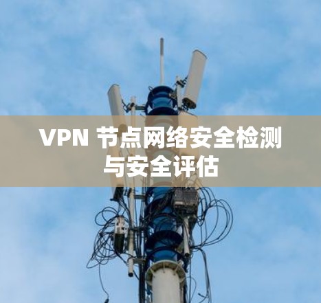 VPN 节点网络安全检测与安全评估