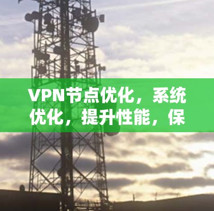 VPN节点优化，系统优化，提升性能，保障网络安全