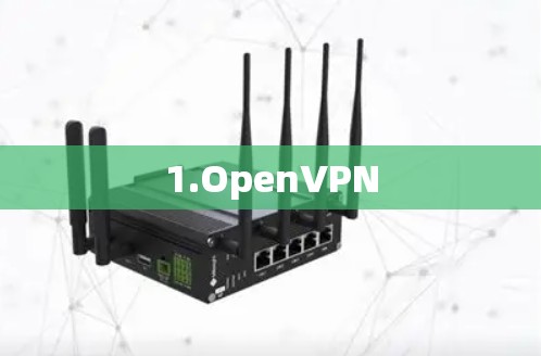 1.OpenVPN