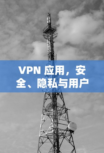 VPN 应用，安全、隐私与用户体验的综合体验