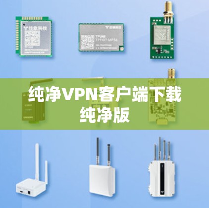 纯净VPN客户端下载纯净版