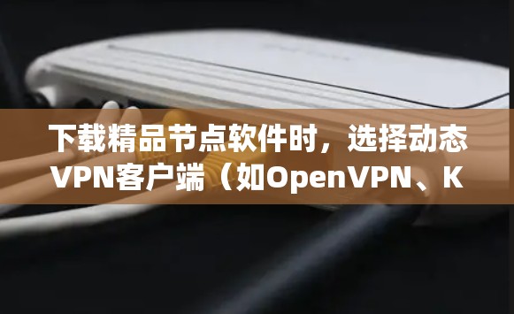 下载精品节点软件时，选择动态VPN客户端（如OpenVPN、KVM VPN等）更符合安全需求。以下是具体的步骤