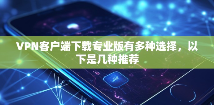 VPN客户端下载专业版有多种选择，以下是几种推荐