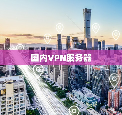 国内VPN服务器