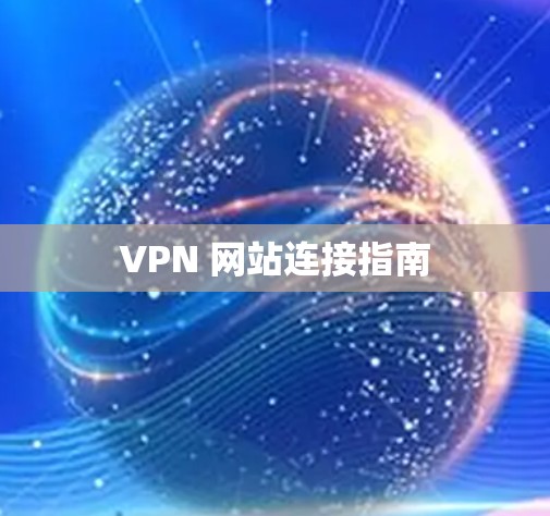 VPN 网站连接指南
