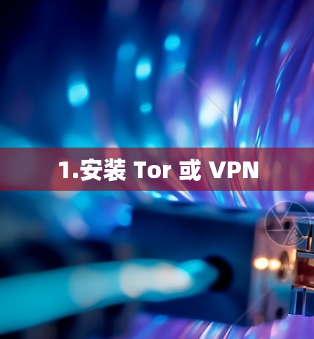 1.安装 Tor 或 VPN