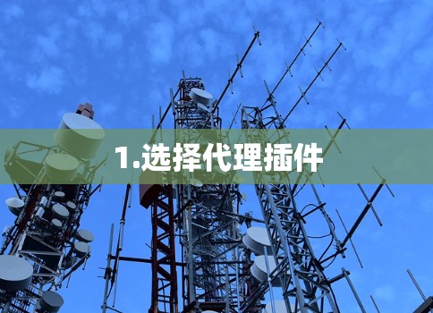 1.选择代理插件
