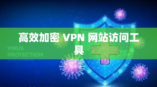 高效加密 VPN 网站访问工具