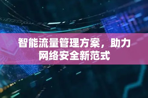 智能流量管理方案，助力网络安全新范式