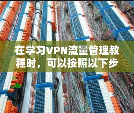 在学习VPN流量管理教程时，可以按照以下步骤进行，帮助您更好地理解并应用这些功能