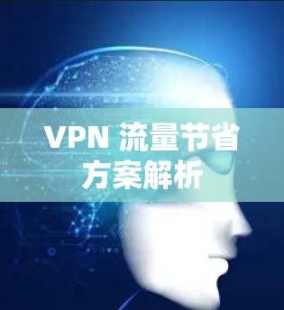 VPN 流量节省方案解析