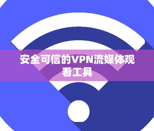 安全可信的VPN流媒体观看工具